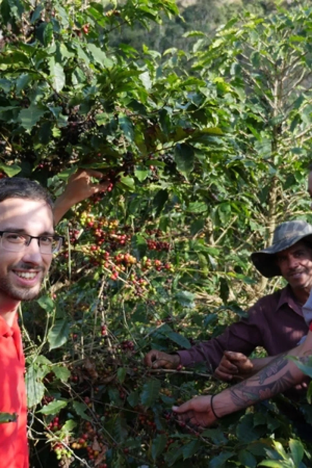 3-guys-jungle